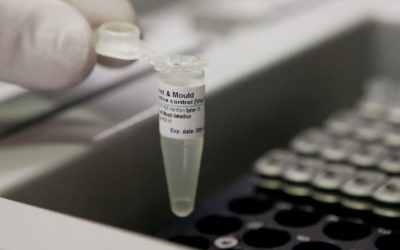 MMM Beverage Partner Kft.